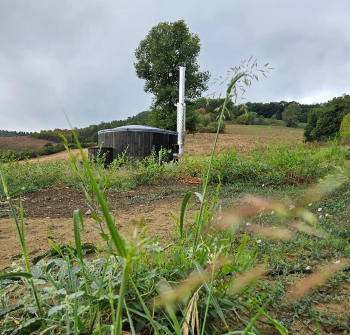 Kaikna Podere Evolutivo Montescudaio Italia
